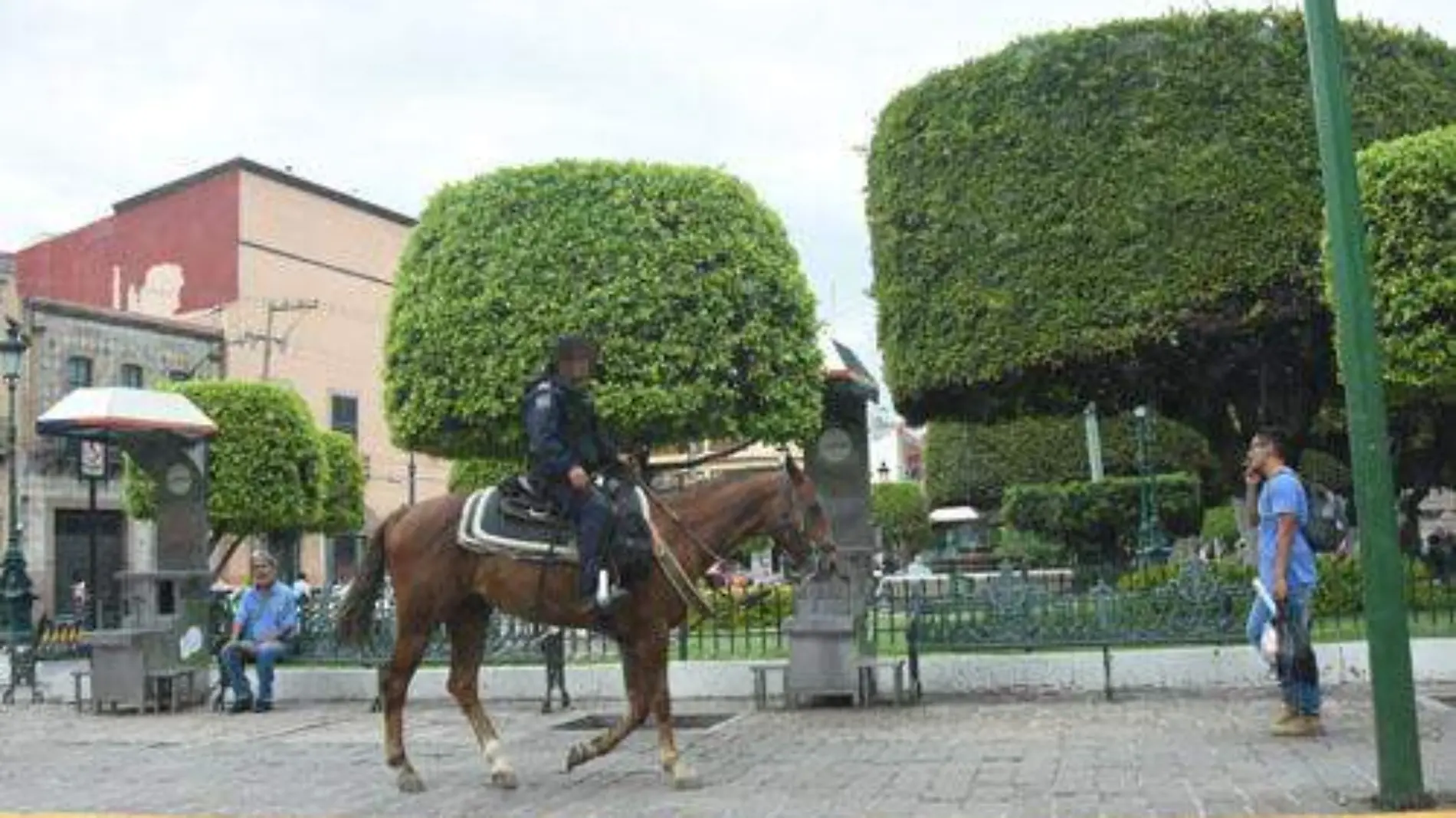 POLICIA MONTADA